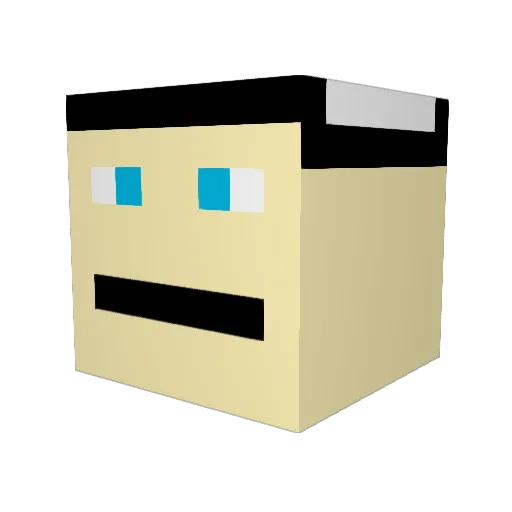 DonatedKitten48 Minecraft avatar head, 3D render