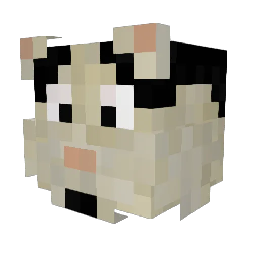 Donatgaming Minecraft avatar head, 3D render