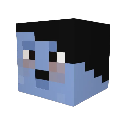 Donatien Minecraft avatar head, 3D render