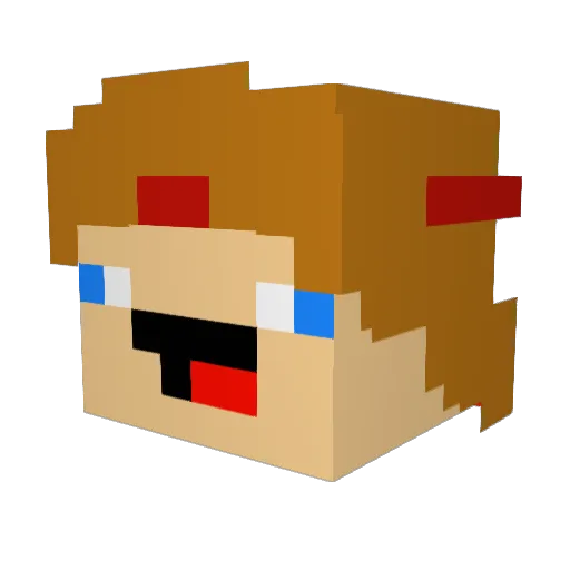 Donblem Minecraft avatar head, 3D render
