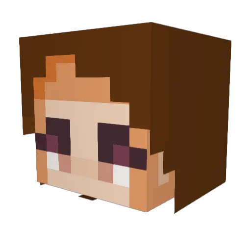 Dondaii Minecraft avatar head, 3D render