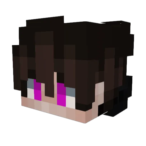 Dondera464 Minecraft avatar head, 3D render