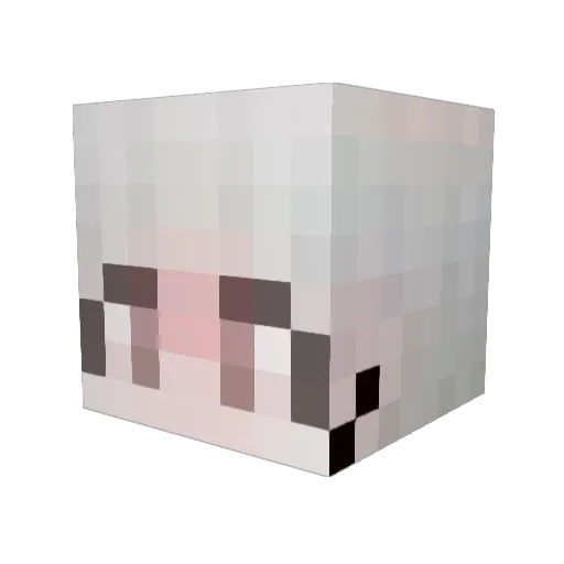 Doneimportant Minecraft avatar head, 3D render