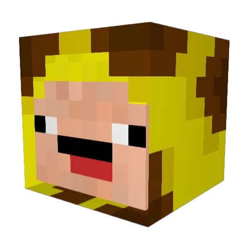 Donenified Minecraft avatar head, 3D render
