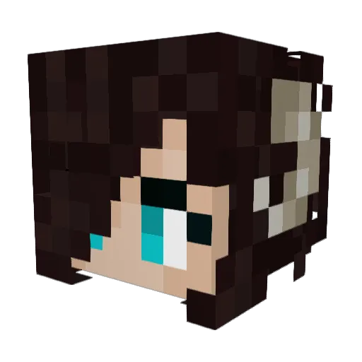 Donetra Minecraft avatar head, 3D render