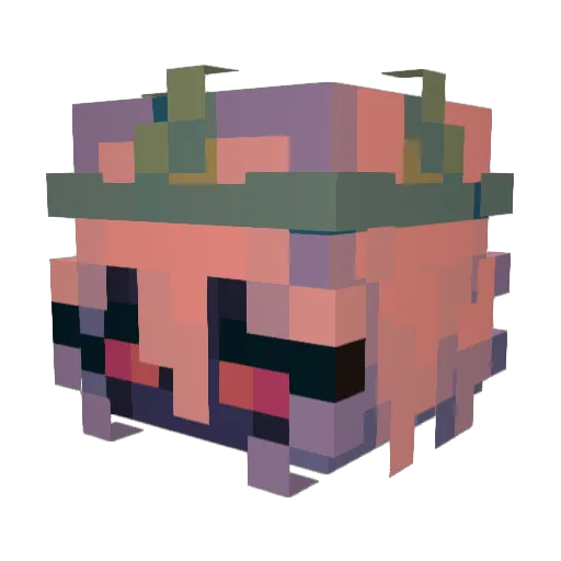 Donfin Minecraft avatar head, 3D render