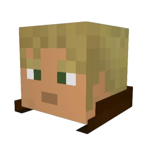 Donforce Minecraft avatar head, 3D render