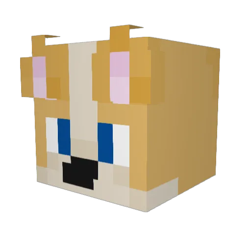 Dong123 Minecraft avatar head, 3D render
