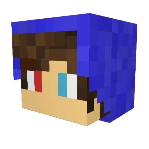 DongDong10607 Minecraft avatar head, 3D render