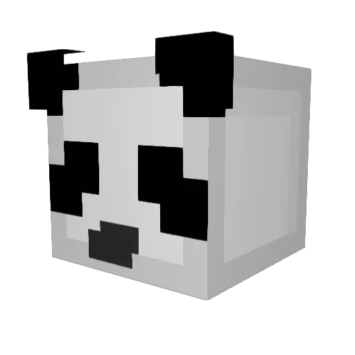 DongDong224 Minecraft avatar head, 3D render