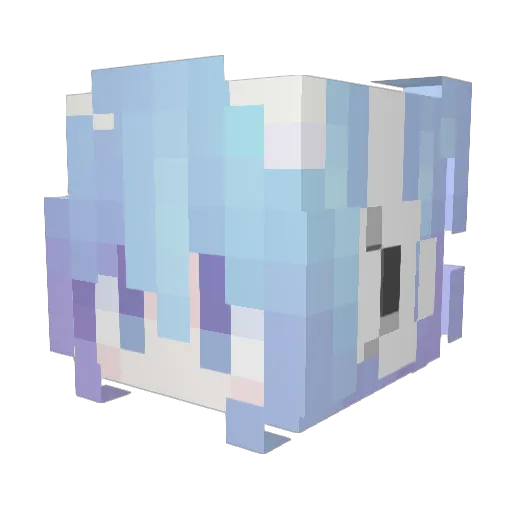 DongDong6330 Minecraft avatar head, 3D render