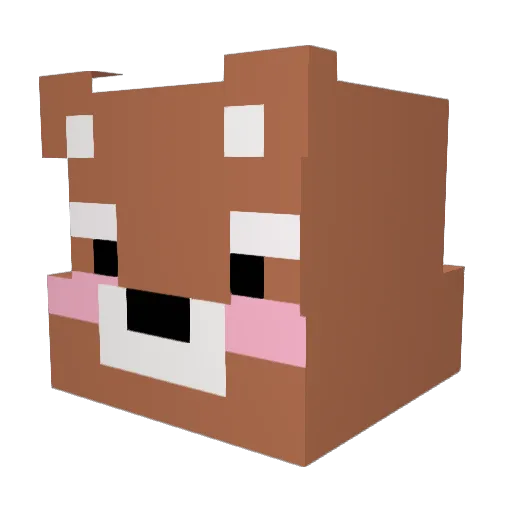 DongDong_OK Minecraft avatar head, 3D render