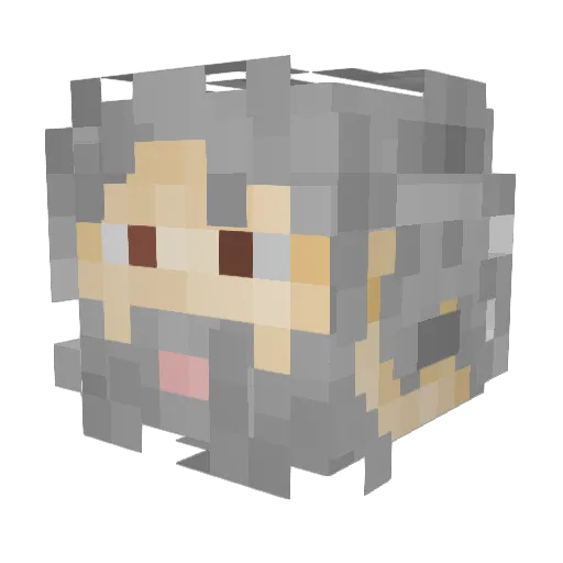 DongGe1014 Minecraft avatar head, 3D render