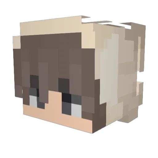 Dong_chi Minecraft avatar head, 3D render