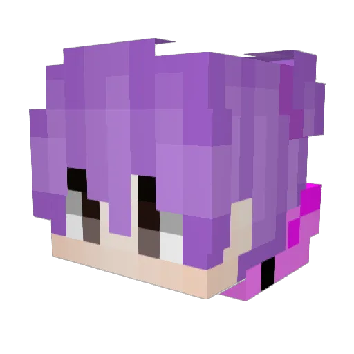 Dong_dongf Minecraft avatar head, 3D render