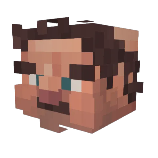 Dong_in2 Minecraft avatar head, 3D render