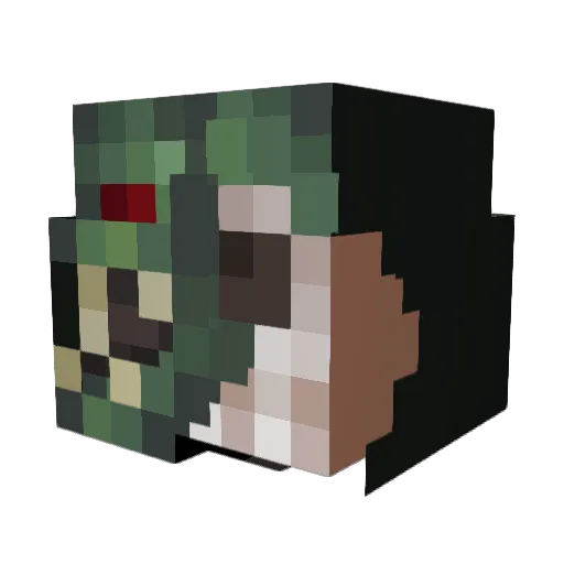Dongdong Minecraft avatar head, 3D render
