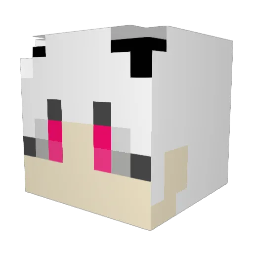Dongha421 Minecraft avatar head, 3D render