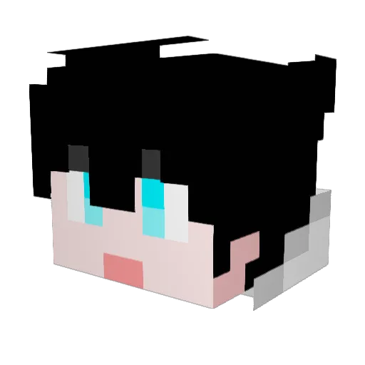 Dongkyu8 Minecraft avatar head, 3D render