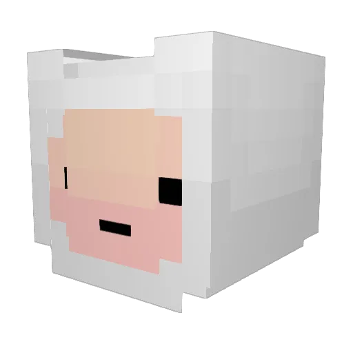 DongleDingus Minecraft avatar head, 3D render