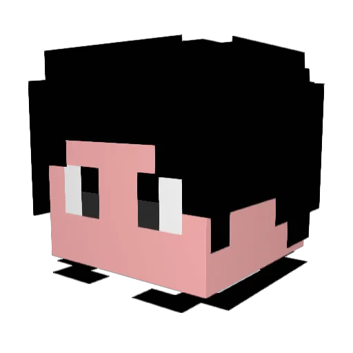 Dongle_209 Minecraft avatar head, 3D render