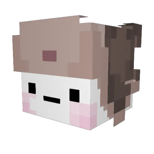 Dongsik_k Minecraft avatar head, 3D render