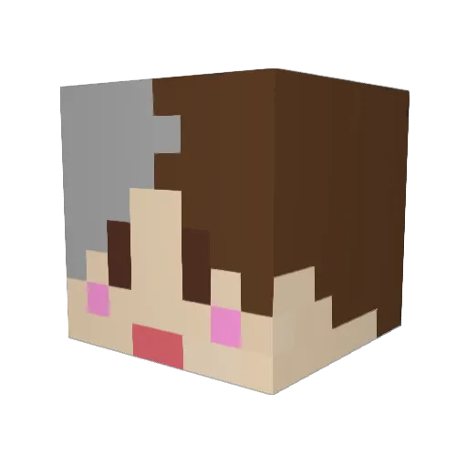 Donguri1341 Minecraft avatar head, 3D render