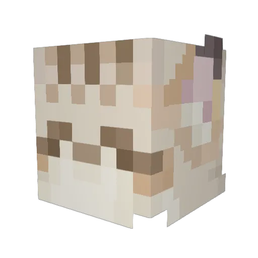 Donharuwo Minecraft avatar head, 3D render