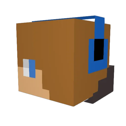 Doni111 Minecraft avatar head, 3D render