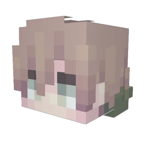 Doni5 Minecraft avatar head, 3D render