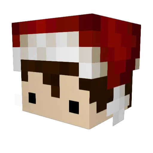 DoniSaN Minecraft avatar head, 3D render