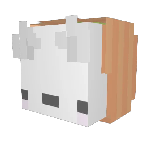 DonionBagel Minecraft avatar head, 3D render