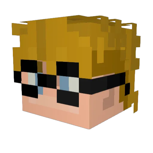 Donis Minecraft avatar head, 3D render