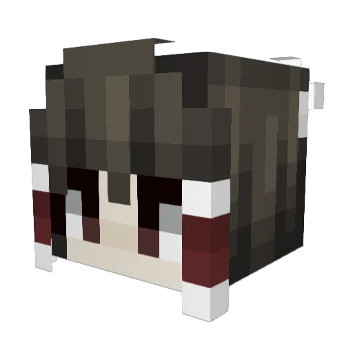 Donisama Minecraft avatar head, 3D render
