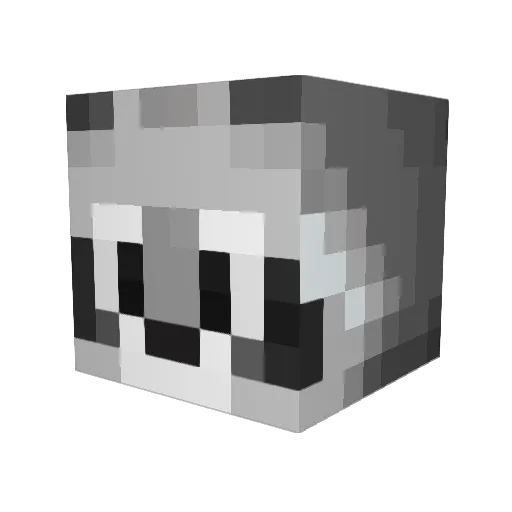 Donk523 Minecraft avatar head, 3D render