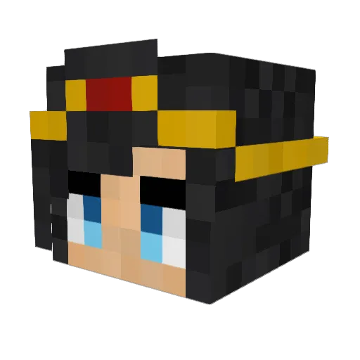 DonkaBingus Minecraft avatar head, 3D render