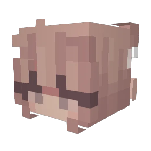 Donke69 Minecraft avatar head, 3D render