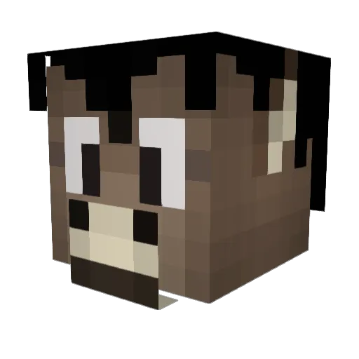 DonkeHD Minecraft avatar head, 3D render