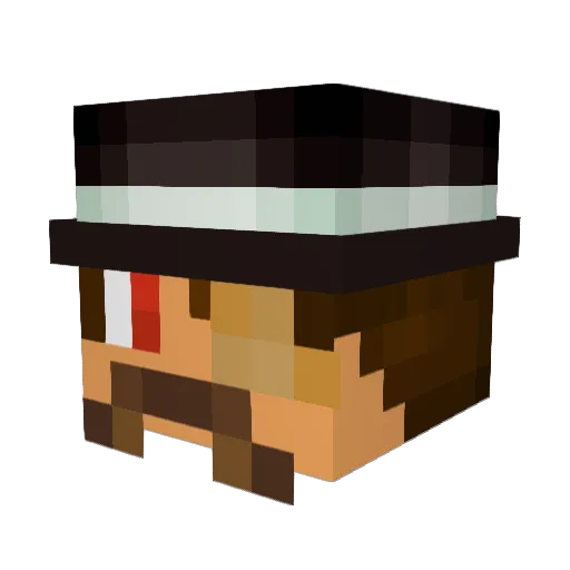 Donker24 Minecraft avatar head, 3D render