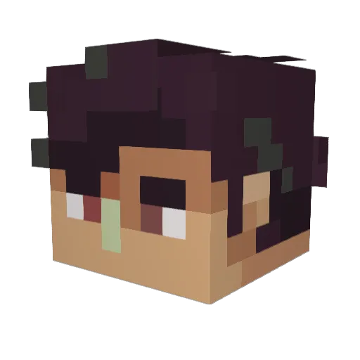 Donkerzz Minecraft avatar head, 3D render