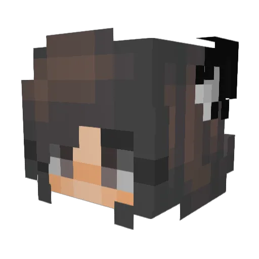 Donkey123 Minecraft avatar head, 3D render