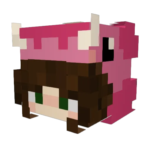 Donkey2025_HD Minecraft avatar head, 3D render