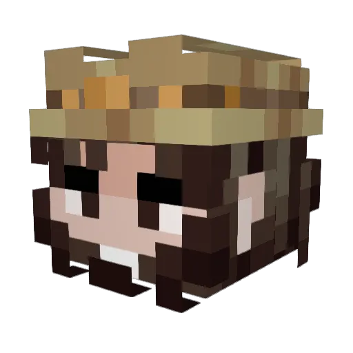 DonkeyDonkey321 Minecraft avatar head, 3D render