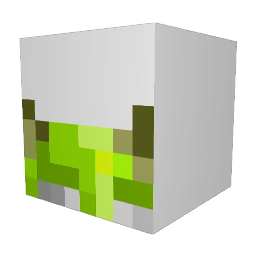 DonkeyFista Minecraft avatar head, 3D render