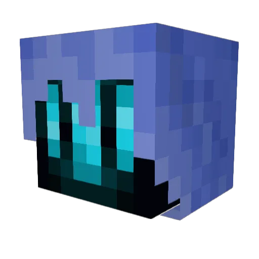 DonkeyHugger36 Minecraft avatar head, 3D render