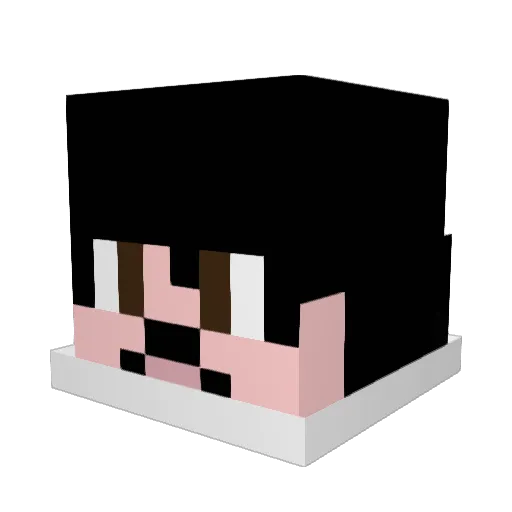 DonkeyInAPond Minecraft avatar head, 3D render