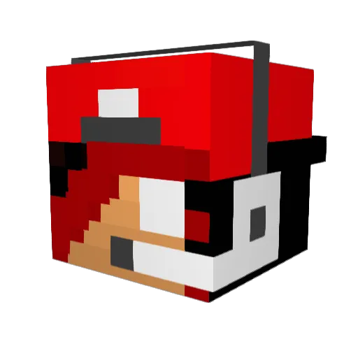 DonkeyL55 Minecraft avatar head, 3D render
