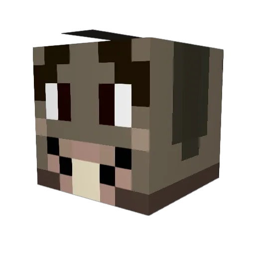 DonkeyYT Minecraft avatar head, 3D render