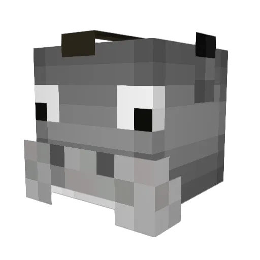 Donkey_69 Minecraft avatar head, 3D render