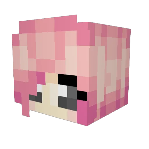 Donkey_Dragon Minecraft avatar head, 3D render